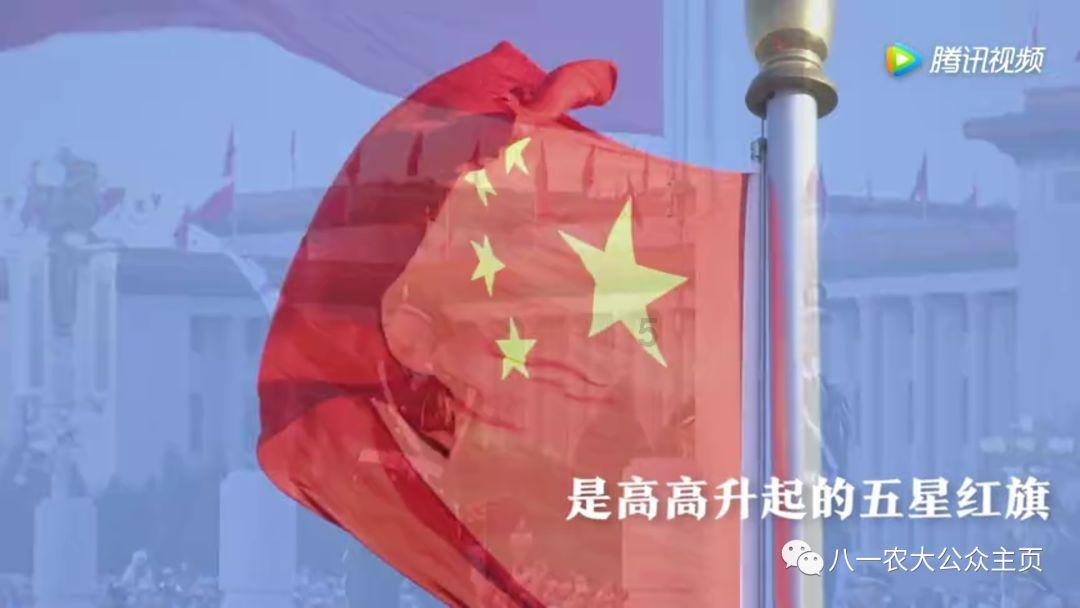 动物帮帮忙保卫家园