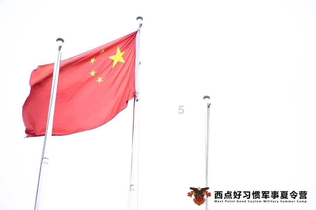 “三九下一”打三个数字多少?-最佳的有问必答平台网页